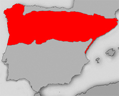 Achondrostoma arcasii_mapa.jpg